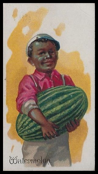 N12 Watermelon.jpg